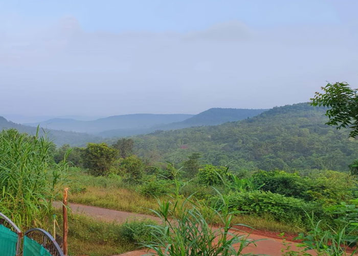 Shalom hills